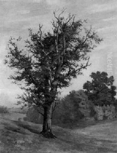Alte Buche In Weiter Landschaft by Karl Hagemeister