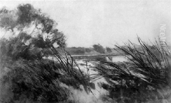 Markischer See Mit Verschilftem Ufer - view 1