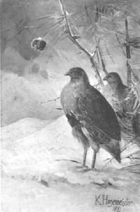 Zwei Vogel Im Schnee Zwei Vogel Im Schnee