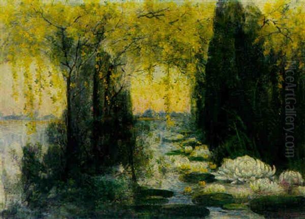 Seerosenteich - view 1