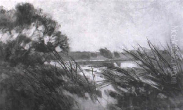 Markischer See Mit Schilfufer - view 1