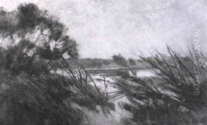 Markischer See Mit Schilfufer