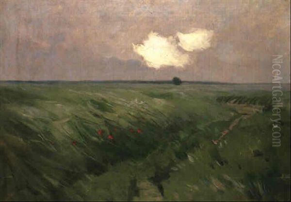 Wiese Mit Mohnblumen - view 1