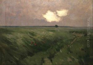 Wiese Mit Mohnblumen