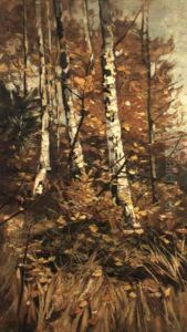 Herbstlicher Birkenwald