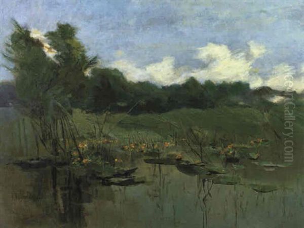 Weiher - view 1