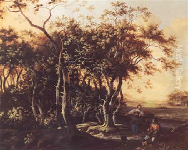 Bewaldete Landschaft - view 1