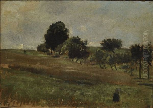 Sommerliche Landschaft Mit Baumbestandenem Feldrain - view 1