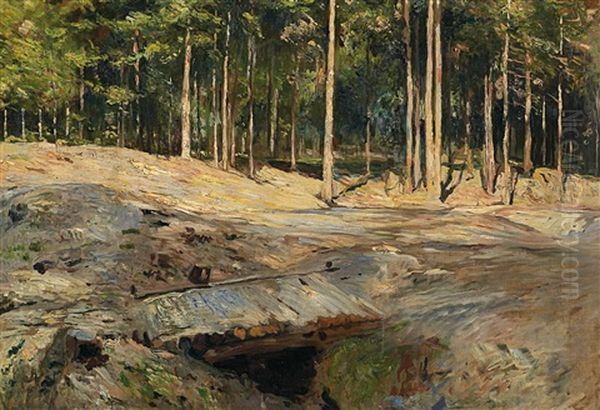 Sommerliche Waldlichtung Im Thuringischen Bei Weimar - view 1
