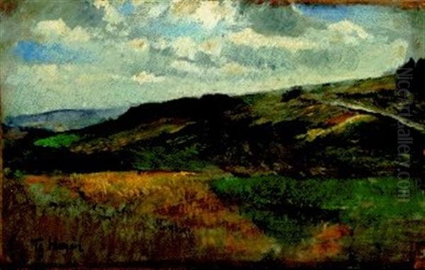 Eifellandschaft - view 1