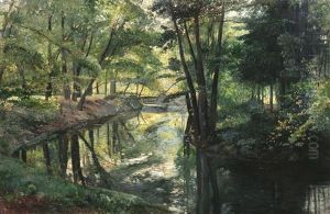 Parklandschaft Mit Bachlauf