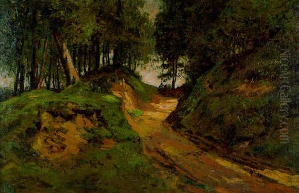 Hohlweg Im Wald - view 1