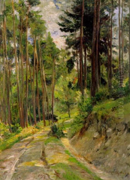 Waldweg - view 1