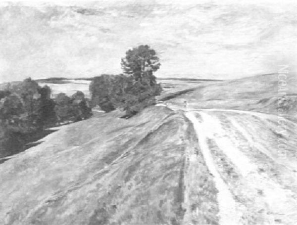 Sommerliche Wiesenlandschaft Mit Feldweg - view 1