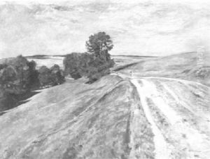 Sommerliche Wiesenlandschaft Mit Feldweg