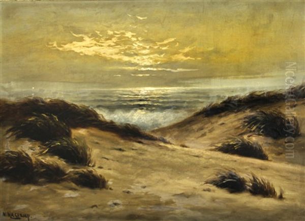 Beach Dunes - view 1