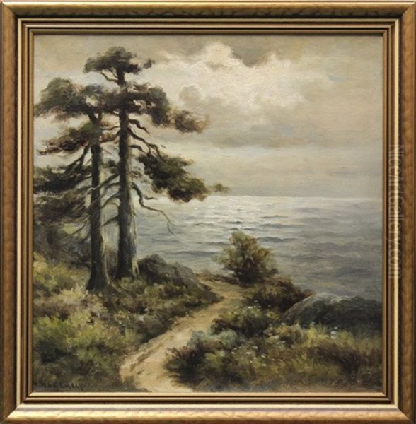 Path By The Ocean - view 1