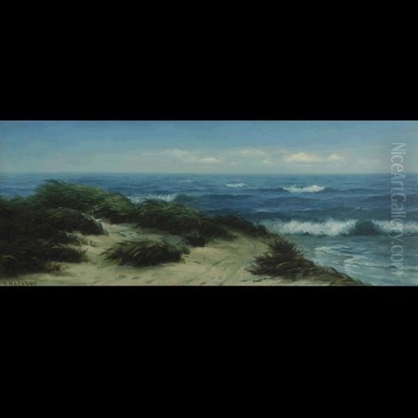 Dunes Along The Pacific - view 1