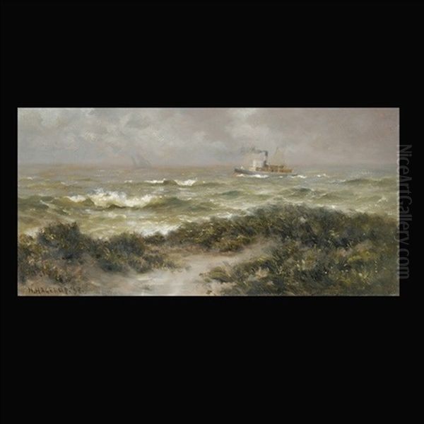 Ships Off The Coast - view 1