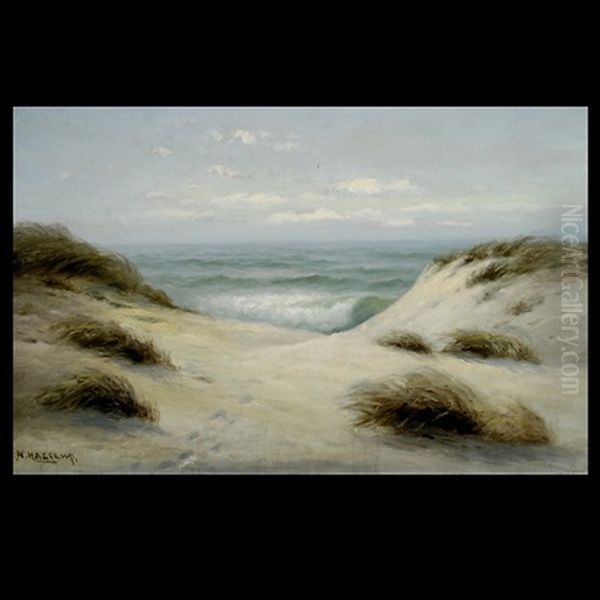 Dunes, Stinson Beach - view 1