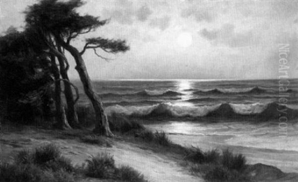 Moonlit Monterey Coastal Scene - view 1