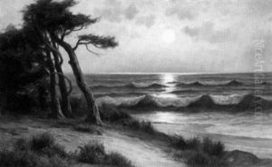 Moonlit Monterey Coastal Scene