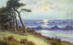Coastal Tranquility Coastal Tranquility