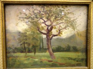 Alberi Nella Campagna Alberi Nella Campagna