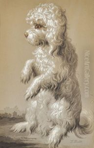 Study Of A Dog by Filippo Balbi