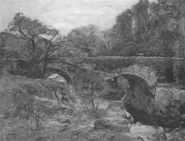 Pont-y-pair Bridge, Betws-y-coed - view 1