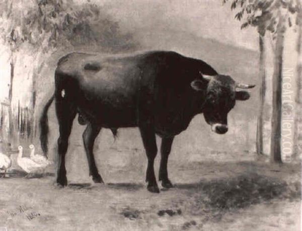 Bull - view 1