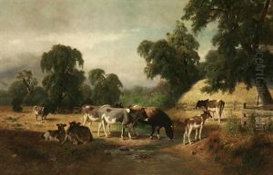 Cows By A Stream In A Wooded Pasture Cows By A Stream In A Wooded Pasture