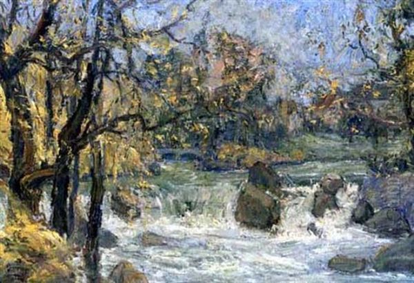 Eisbach (englischer Garten, Munchen) - view 1