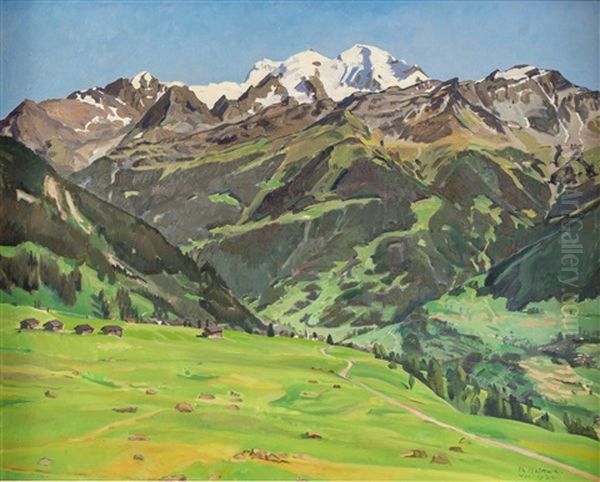Paysage De Montagne En Ete - view 1