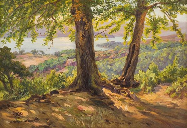 Bogazici Sirtlarindan - view 1