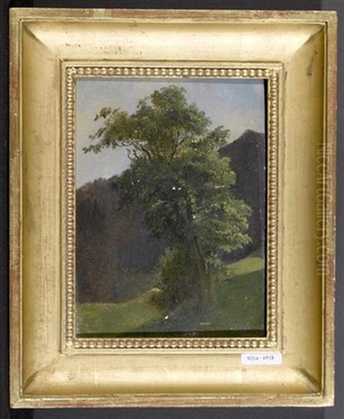 Landschaft Mit Baum - view 1