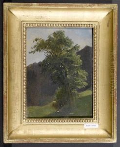Landschaft Mit Baum by Ludwig Halauska