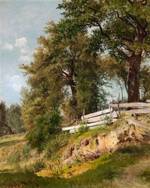 Baumpartie Mit Planken Bei Pang - view 1