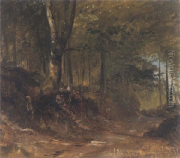 Ein Waldweg - view 1