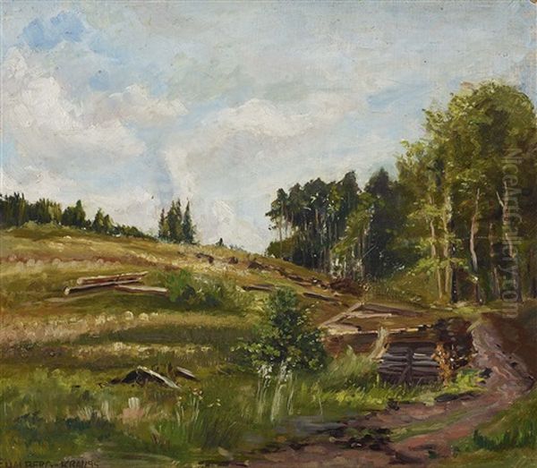 Edge Of The Forest - view 1