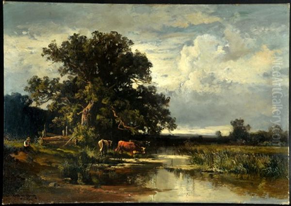 Kuhe Am Bachlauf In Weiter Baumlandschaft - view 1