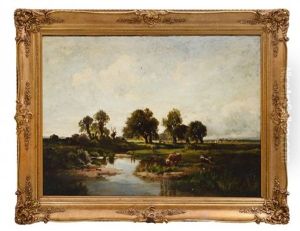 Watering Cattle Landscape Watering Cattle Landscape
