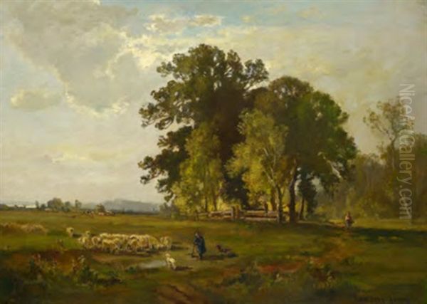 Schafer Mit Seiner Herde In Sommerlandschaft - view 1