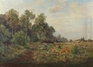 Rehe Auf Einer Waldwiese Rehe Auf Einer Waldwiese