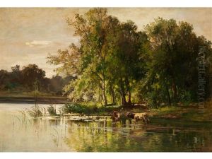 Seeuferlandschaft Seeuferlandschaft