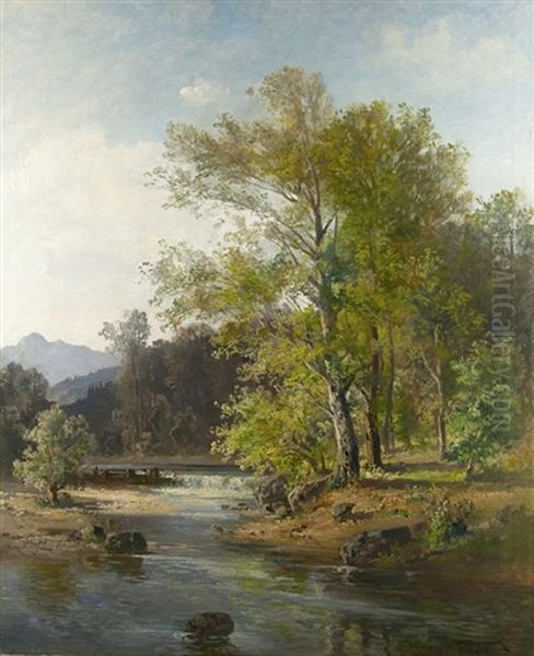 An Der Mangfall - view 1