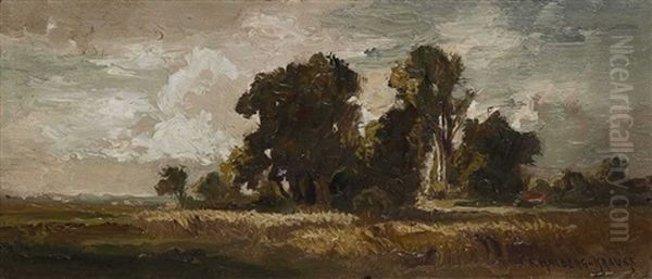 Voralpenlandschaft Mit Baumgruppe - view 1