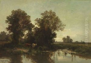 Weidende Kuhe Im Dachauer Moos