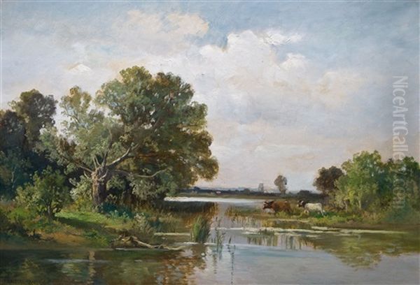 Seenlandschaft Am Nachmittag - view 1