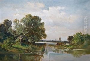 Seenlandschaft Am Nachmittag